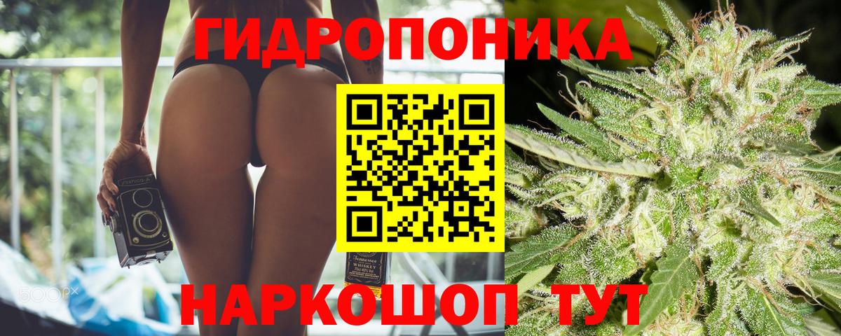 Бошки марихуана план Куйбышев